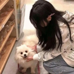 腾讯火影忍者忍者新世代手游下载